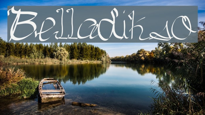 Belladikso Example 1