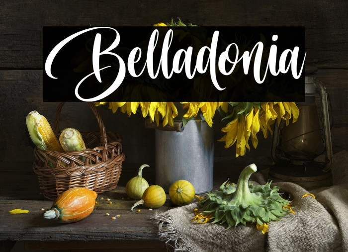 Belladonia Example 1