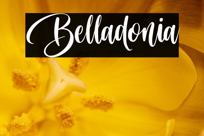 Belladonia Example 2