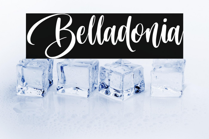 Belladonia Example 3