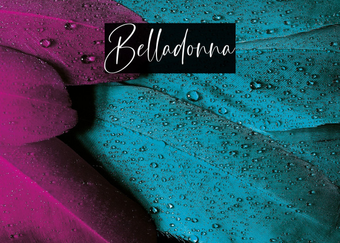 Belladonna Example 1