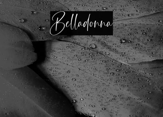 Belladonna Font examples
