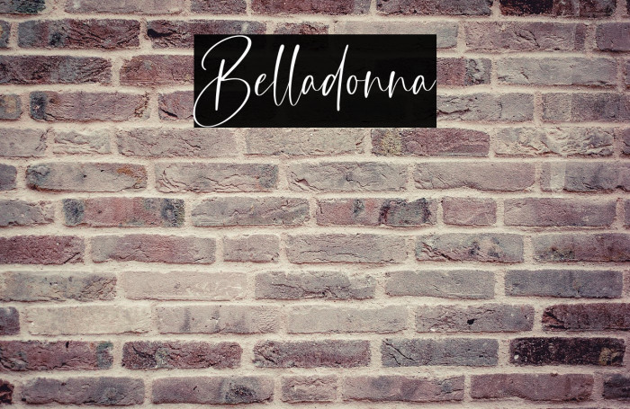 Belladonna Example 2