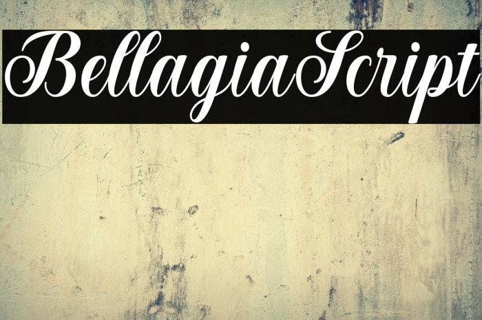 BellagiaScript Example 1