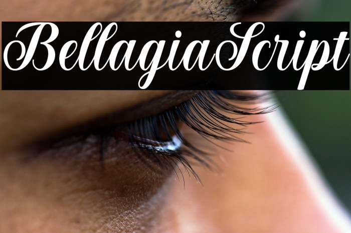 BellagiaScript Example 2