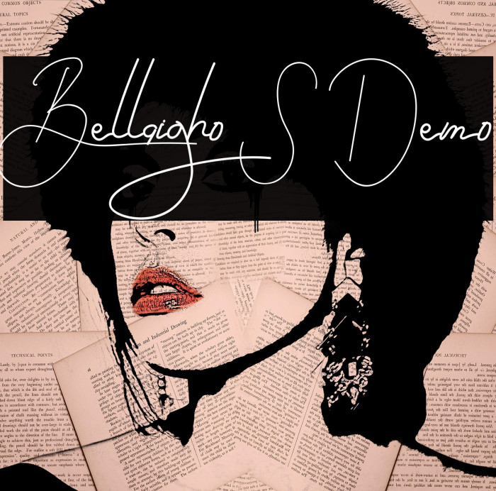 Bellaigho S Demo Example 1