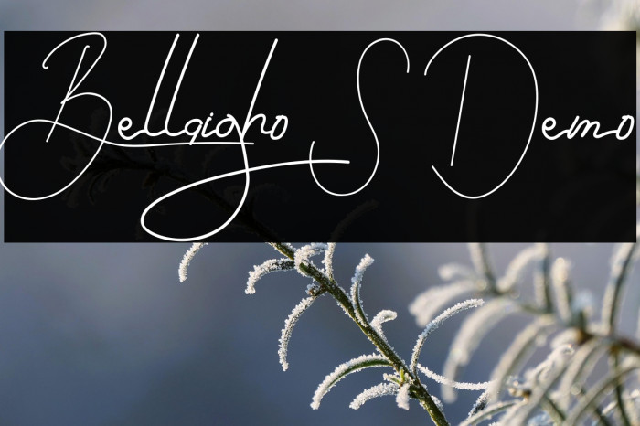 Bellaigho S Demo Example 2