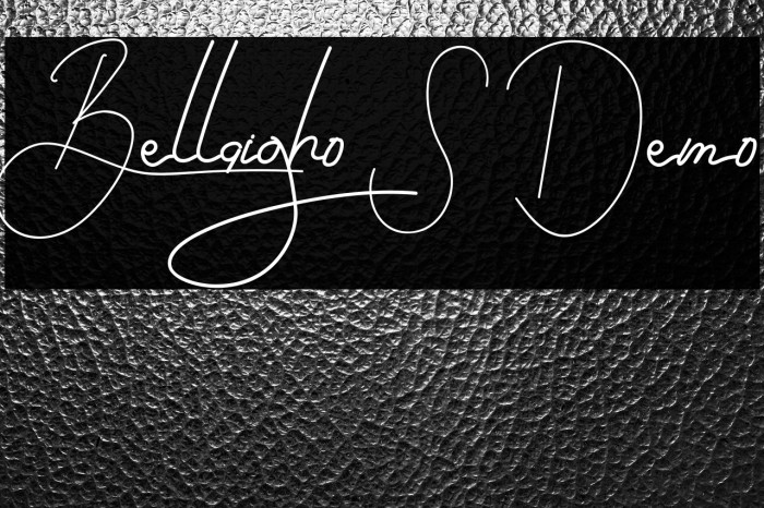 Bellaigho S Demo Example 3