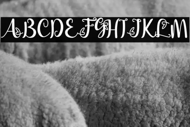 Bellami Font examples