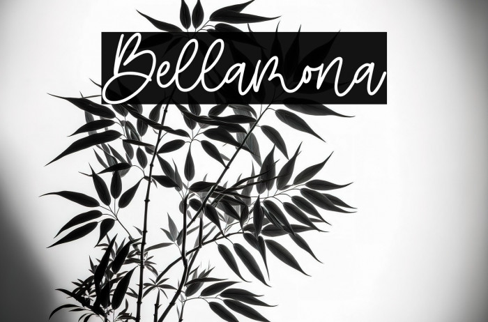 Bellamona Example 2