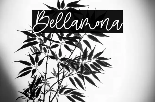 Bellamona Font examples