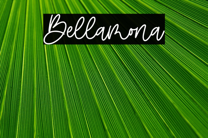 Bellamona Example 3