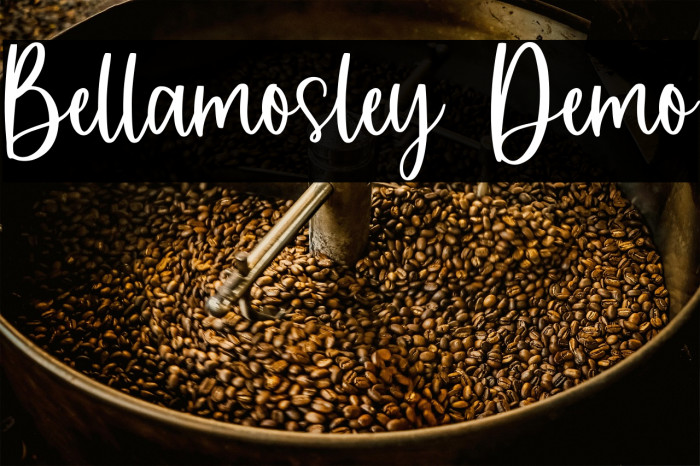 Bellamosley Demo Example 1