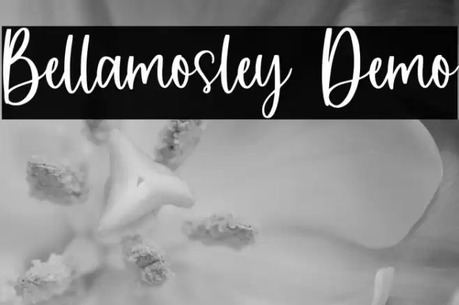 Bellamosley Demo Font examples