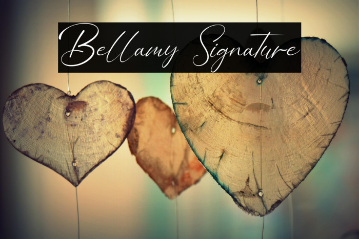 Bellamy Signature Example 2