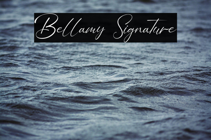 Bellamy Signature Example 3