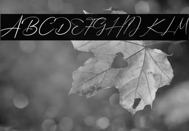 Bellamy Signature Font examples