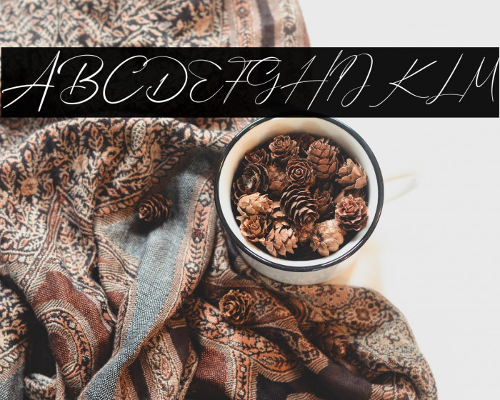 Bellamy Signature Example 2