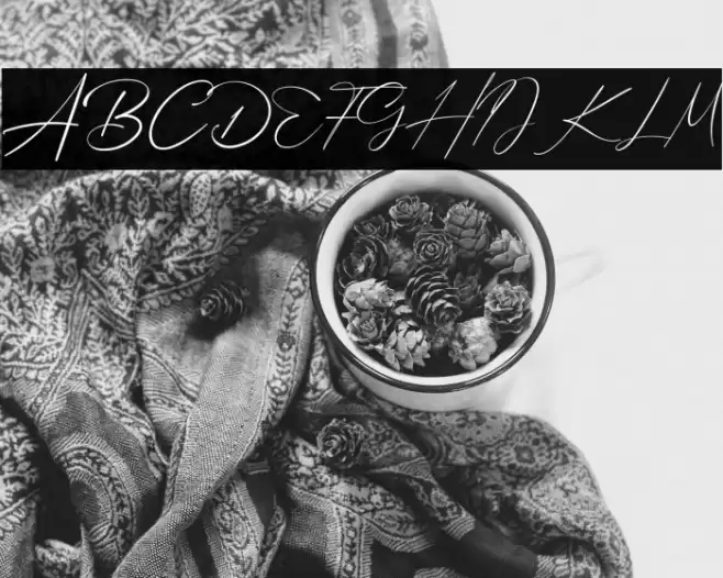 Bellamy Signature Font examples