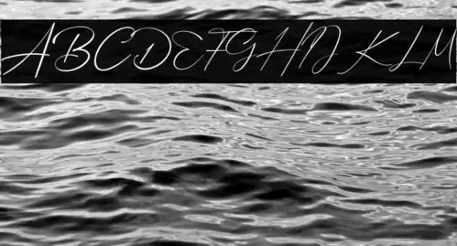 Bellamy Signature Font examples