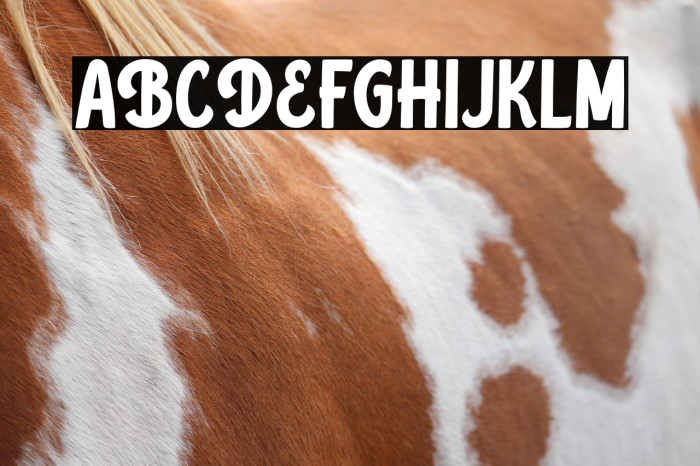 BellandLambPersonalUse Example 1