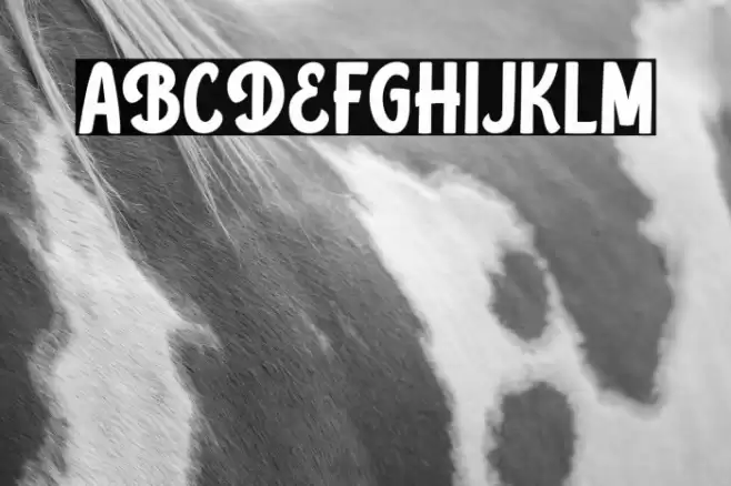 BellandLambPersonalUse Font examples