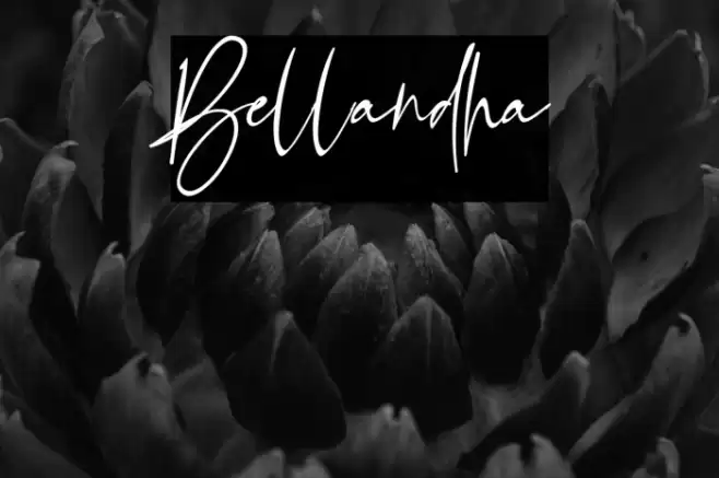 Bellandha Font examples