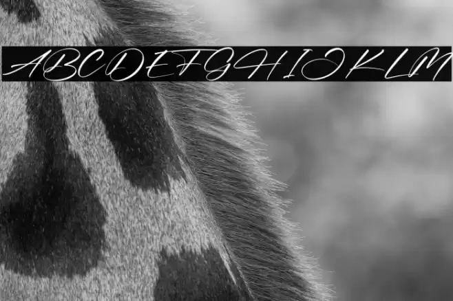 Bellandra Dessert خط examples