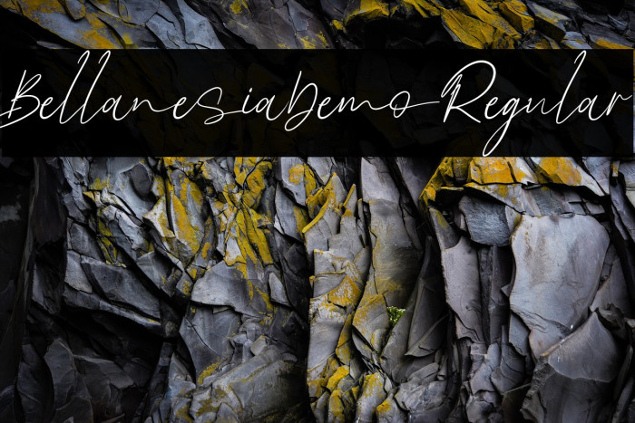 BellanesiaDemoRegular Example 2
