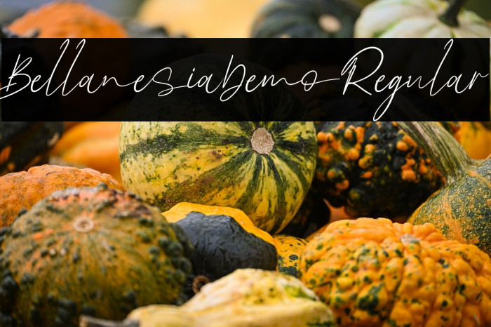 BellanesiaDemoRegular Example 3