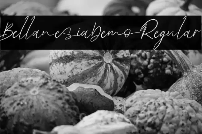 BellanesiaDemoRegular Font examples