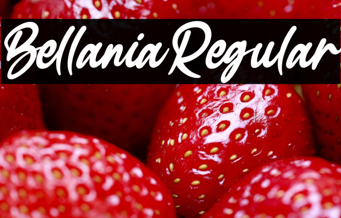 BellaniaRegular Example 1