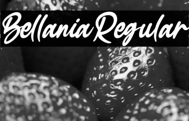 BellaniaRegular Polices examples