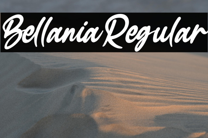 BellaniaRegular Example 2