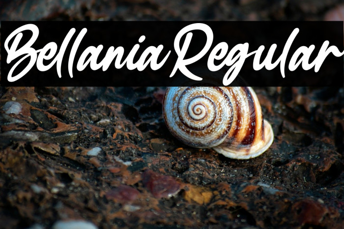 BellaniaRegular Example 3