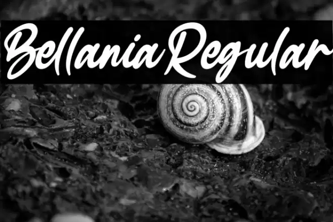 BellaniaRegular Polices examples
