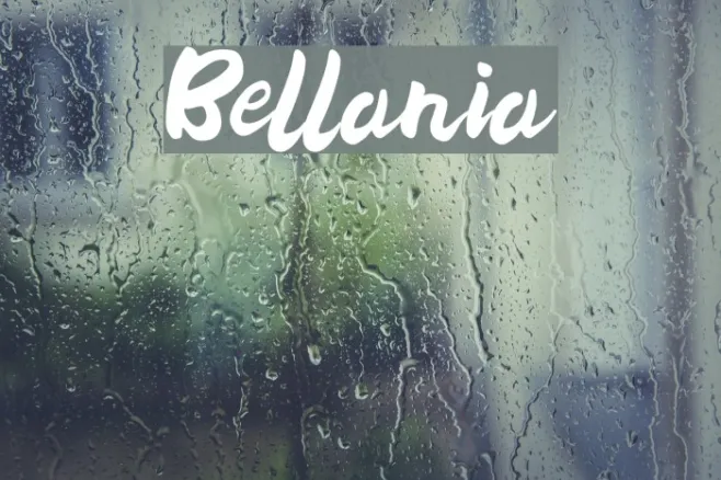 Bellania Example 3