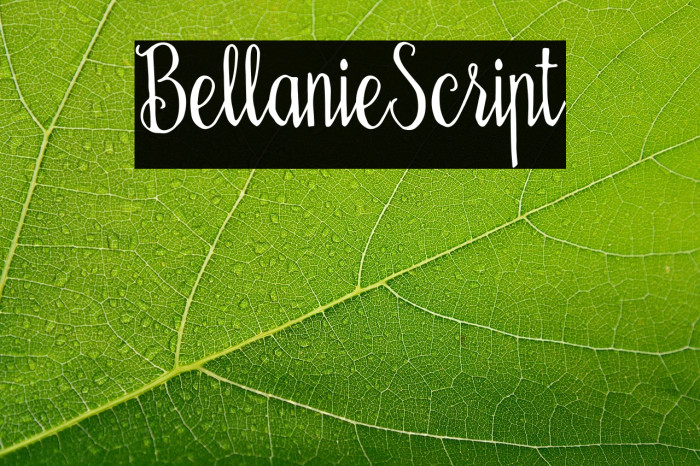 BellanieScript Example 2