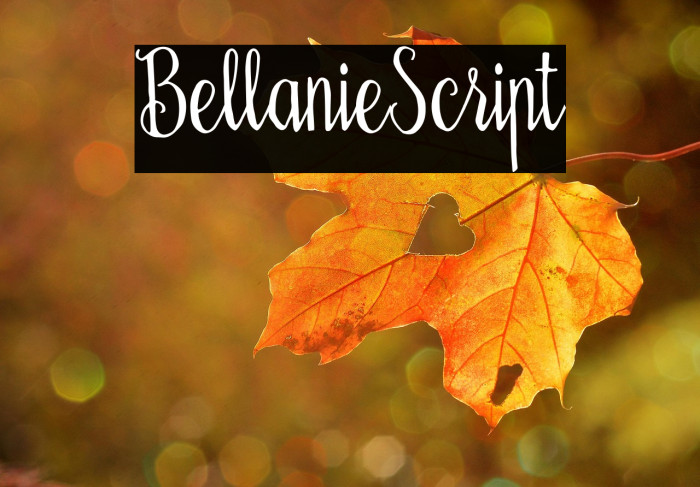 BellanieScript Example 3