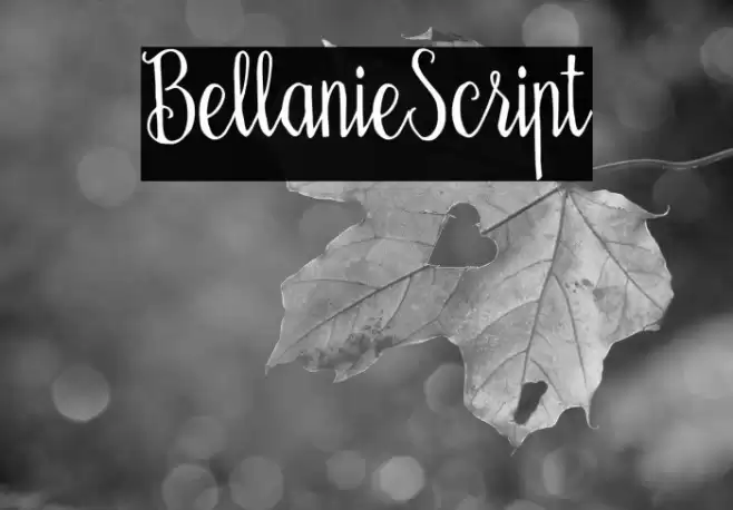 BellanieScript Font examples