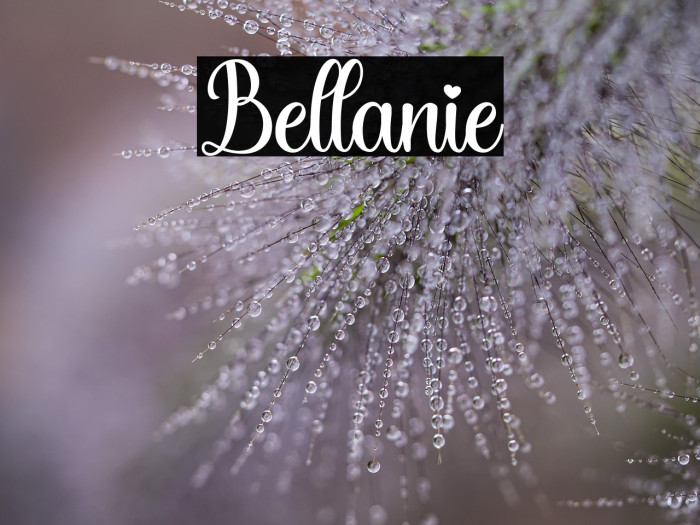 Bellanie Example 3
