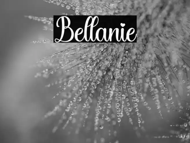 Bellanie Font examples
