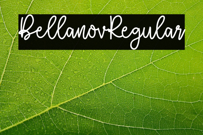 Bellanov-Regular Example 3