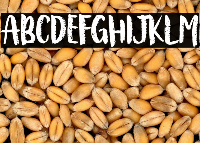 Bellanovie Personal Use Only Example 3