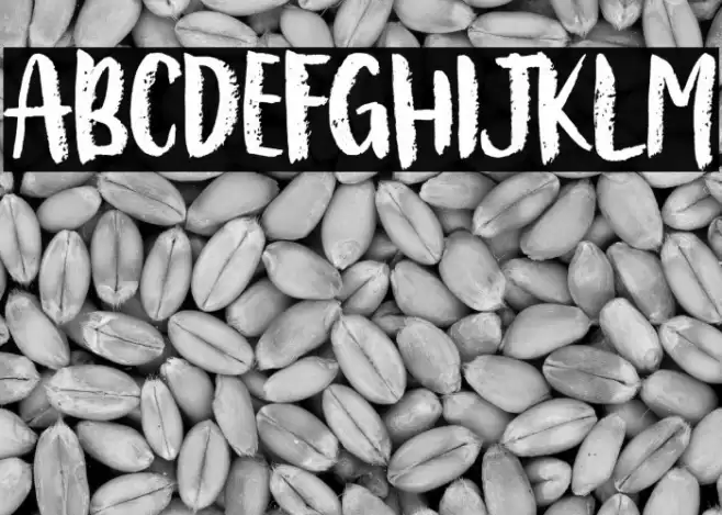 Bellanovie Personal Use Only Font examples