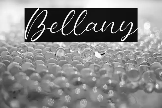 Bellany Font examples