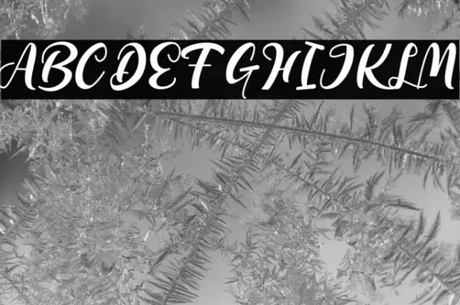 Bellarin Font examples