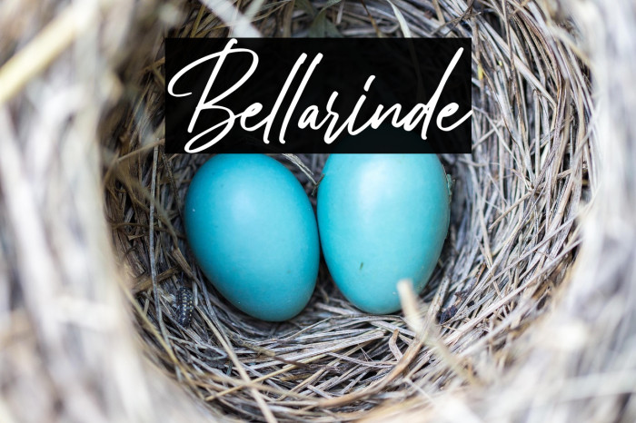 Bellarinde Example 1