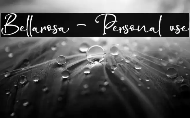 Bellarosa - Personal use Polices examples