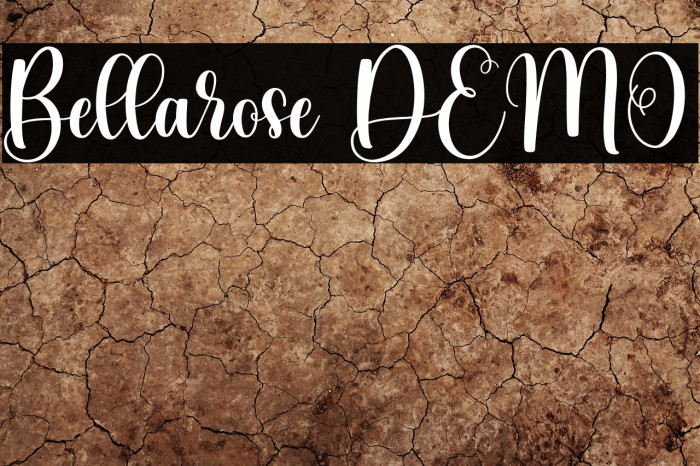 Bellarose DEMO Example 3